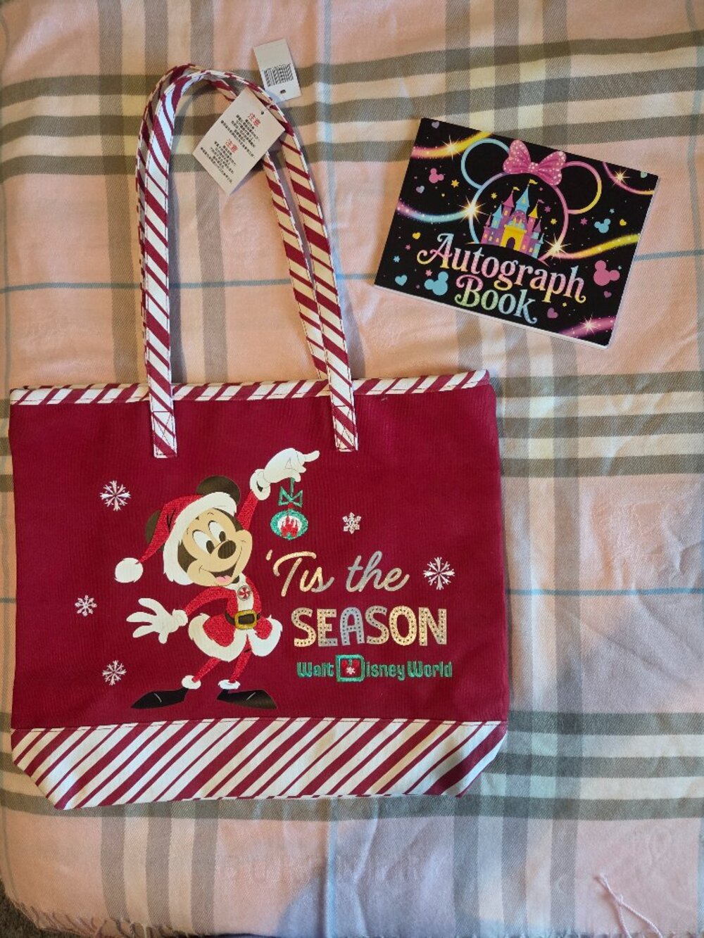 Disney World Holiday Tote with Autograph book.